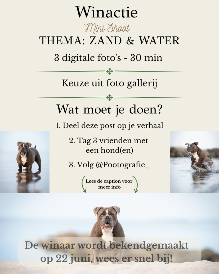 Instagram post from dogs.across.borders. This post is in position 1.